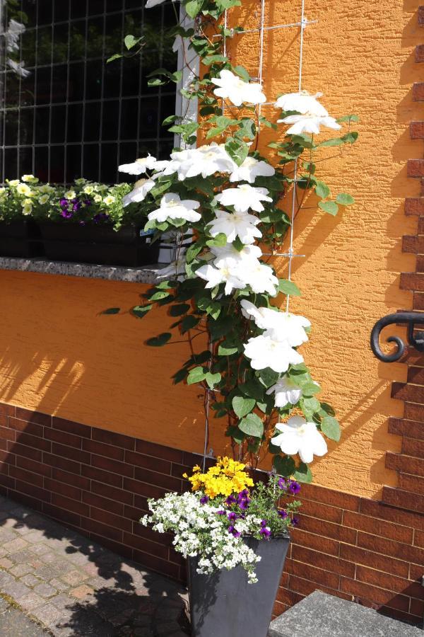 Weinstube Pension Moselbluemchen Zeltingen-Rachtig Exterior foto